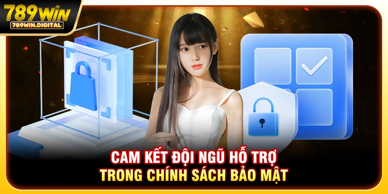 Cam kết đội ngũ hỗ trợ trong chính sách bảo mật